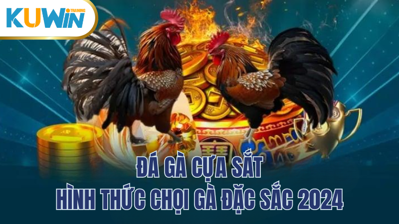 da-ga-cua-sat-kuwin-hinh-thuc-choi-ga-dac-sac-2024