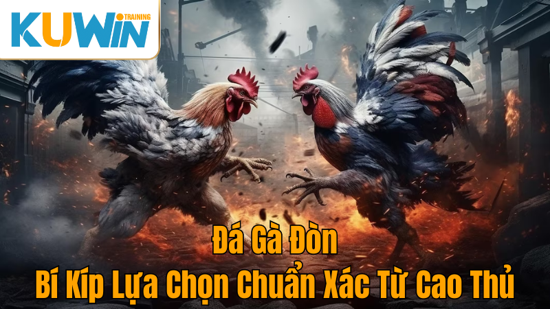 kuwin-da-ga-don-bi-kip-chon-ga-chien-thang-chuan-xac-nhat